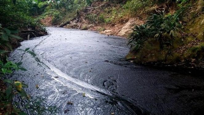 Grave incidente petrolifero in Colombia uccide migliaia di animali e lascia senza cibo centinaia di persone