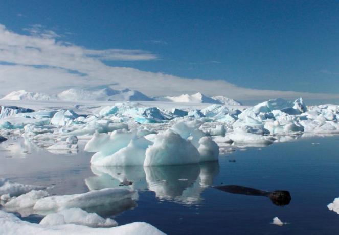 I ghiacci si sciolsero 14.000 anni fa