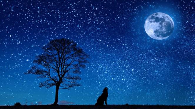 Meteo e astronomia - Il cielo del mese di gennaio tra pianeti, congiunzioni, meteore (Quadrantidi) e la luna piena del Lupo