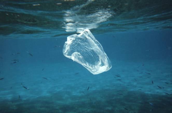 Il numero dei sacchetti di plastica nei mari inglesi è diminuito del 30% nell'ultimo decennio
