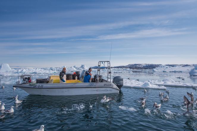 In esplorazione della baia di Ilulissat a bordo di un imbarcazione con guida locale