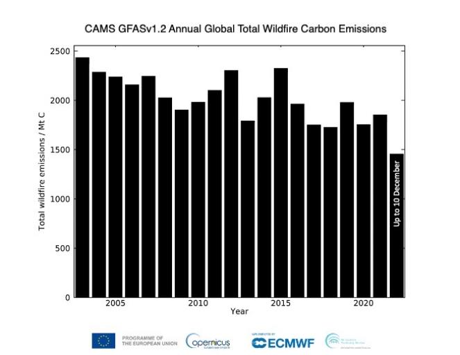Incendi - Emissione totale di carbonio annuale. Credits: Copernicus-ECMWF