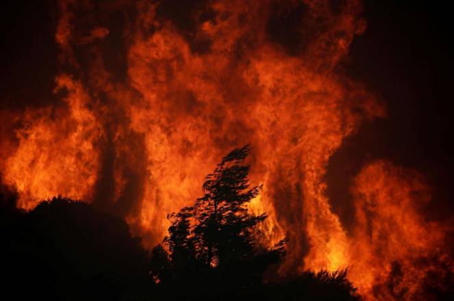 Incendi in Grecia (Fonte immagine: La Presse)