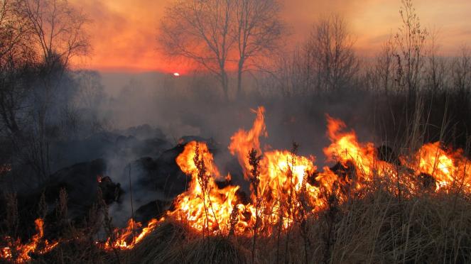 Incendi in Italia: estate 2022 critica