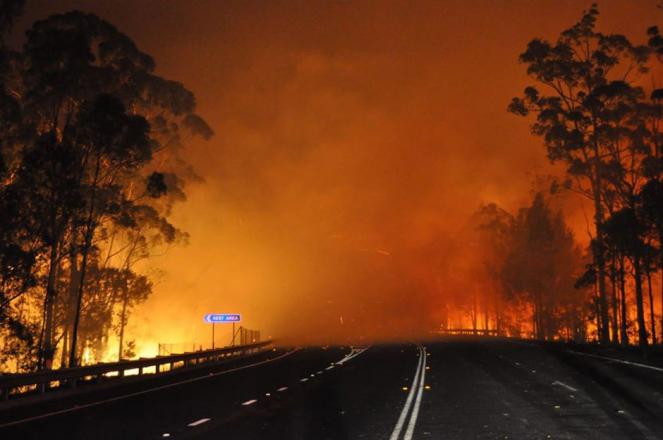 Incendi nel Sud Australia, immagine di repertorio.