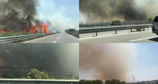 Incendio nei pressi della A14 a Termoli (fonte: www.termoli.tv)