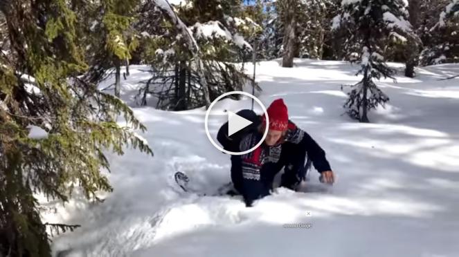 Incredibile scoperta di uno sciatore in un bosco innevato della Norvegia, guardate cosa salta fuori