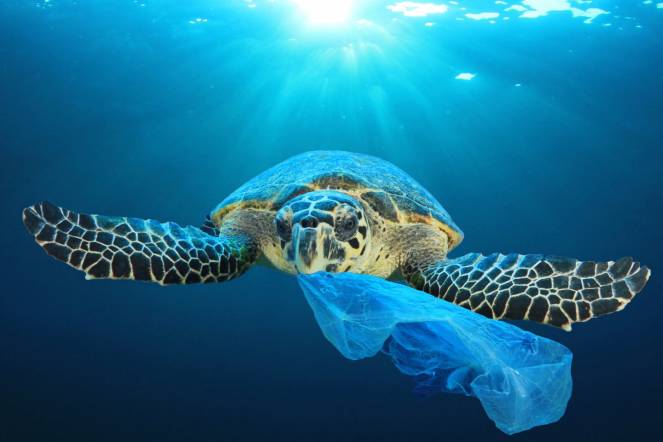 Inquinamento da plastica nei mari