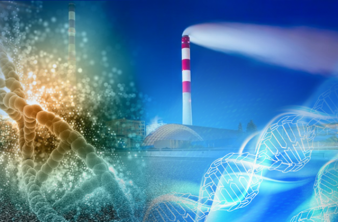 Inquinanti modificano il DNA