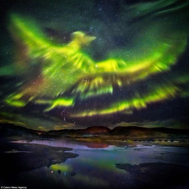 L'aurora prende la forma di una Fenice, fonte foto (Caters News Agency)