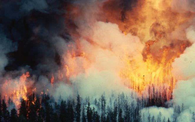 La CO2 continua ad aumentare, complici anche i vasti incendi su molte zone del pianeta