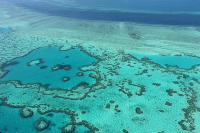 La Grande Barriera Corallina australiana è morta