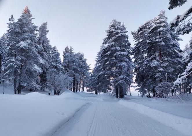 Cronaca meteo. Scandinavia, inverno infinito. Picchi di -35&deg;C marted&igrave; nella Lapponia norvegese