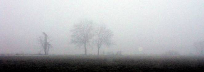 La nebbia in Val padana ha il suo fascino