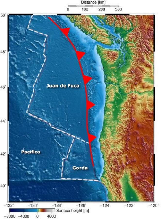 La placca Juan de Fuca, quella Gorda e il margine compressivo