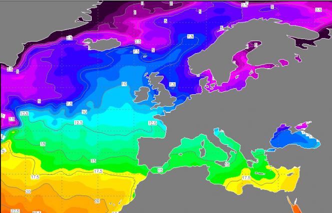 La temperatura dei mari europei (fonte NOAA-wetterzentrale)