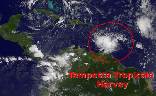 La tempesta tropicale vista dal satellite