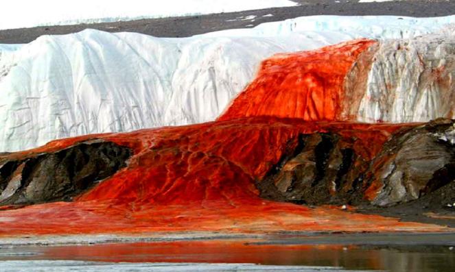 Le affascinanti quanto inquietanti cascate di sangue del ghiacciaio Taylor in Antartide 