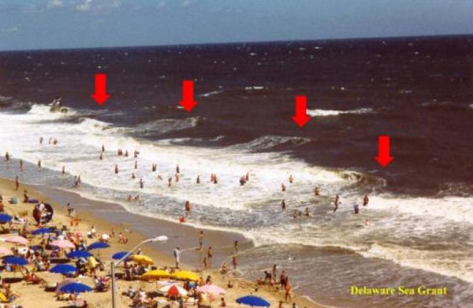 Le Rip Currents