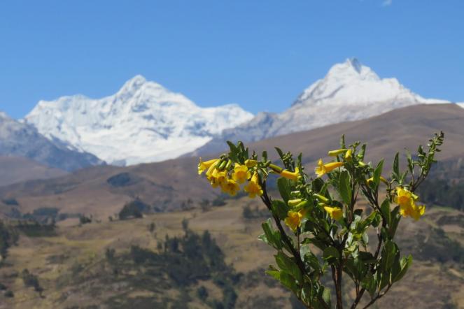  Lo spettacolare scenario della Cordillera Blanca visto da Huaraz