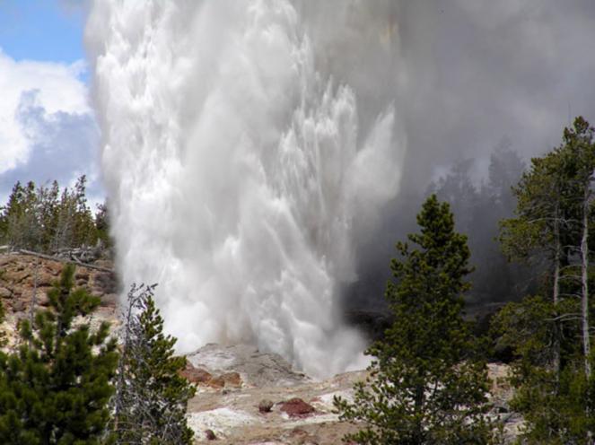 Lo steambot geyser attualmente il geyser più alto del mondo, torna in eruzione