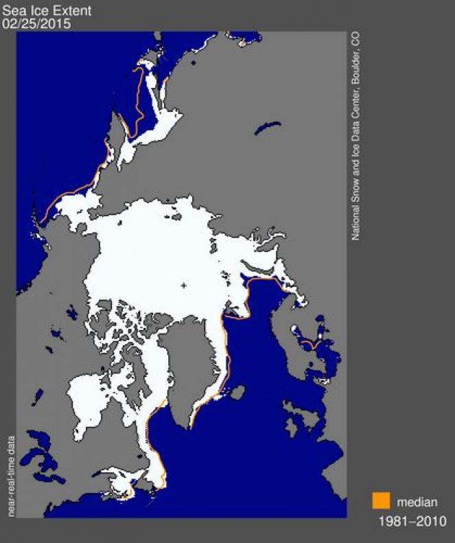 Massima estensione dei ghiacci marini 2014-2015