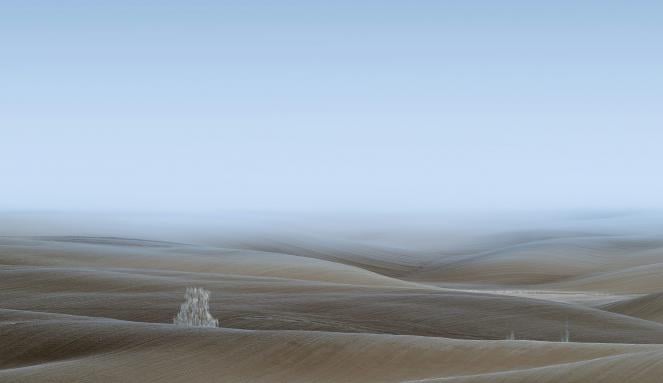 Meteo - Anche nel deserto può formarsi la brina