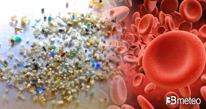 Microplastiche nel sangue, l'allarme degli scienziati