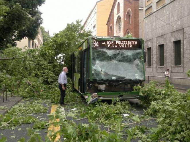 Milano Malpensa Maltempo albero si abbatta sul Bus 94 tragedia sfiorata, ansia per l'Expo