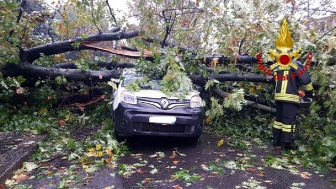Milano venti fino a 100km/h albero abbattuti e molti danni