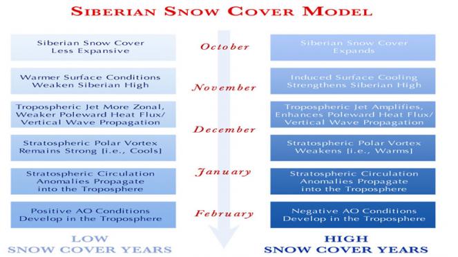 modello della copertura nevosa siberiana ( da Cohen et al)