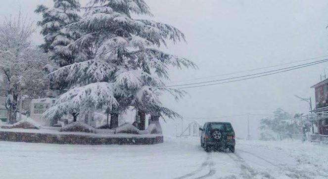 Neve Algeria: accumuli significativi già a 800m