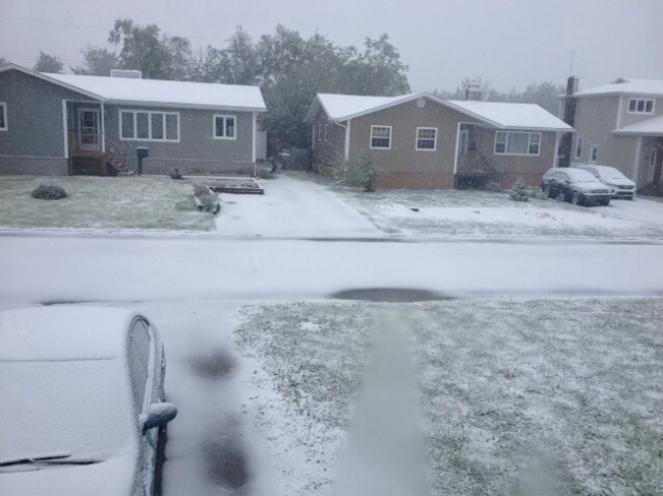 Nevicata record per Giugno a Gander, Canada