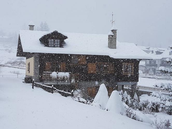 Nuove abbondanti nevicate in arrivo sulle Alpi