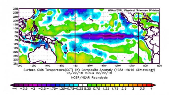 Pacifico, raffreddamento di 3°C negli ultimi mesi