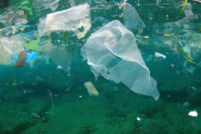 Plastica nei nostri mari, uno dei più gravi problemi di inquinamento ambientale
