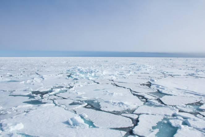 Artico: raggiunta l'estensione massima stagionale dei ghiacci, ma siamo sotto la media