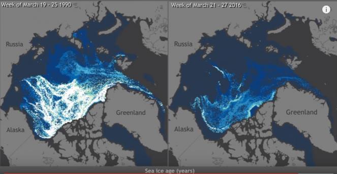 Riduzione del ghiaccio artico dal 1990