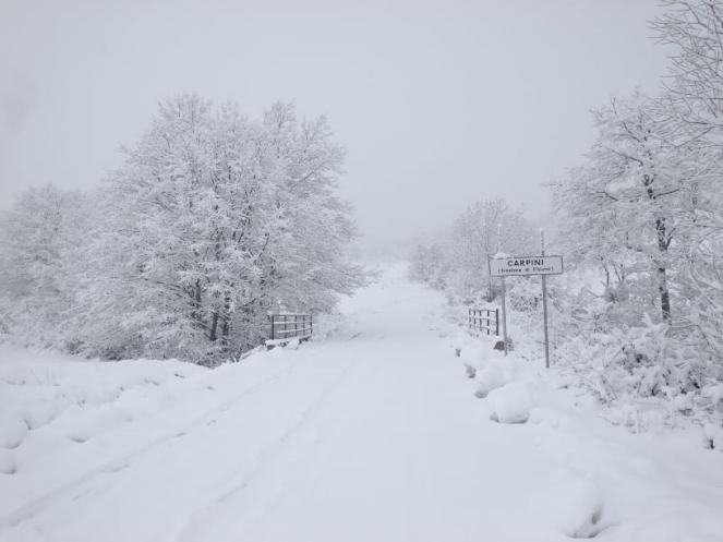 Tanta neve nel Potentino, qui Carpini (foto di Donato Mancini)