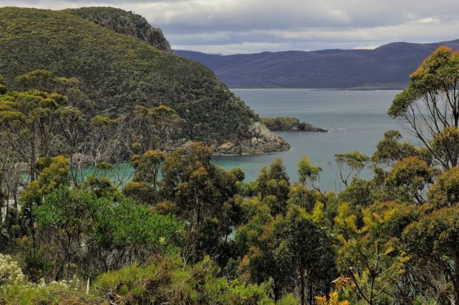 Tasmania un paradiso in pericolo a causa dei cambiamenti climatici