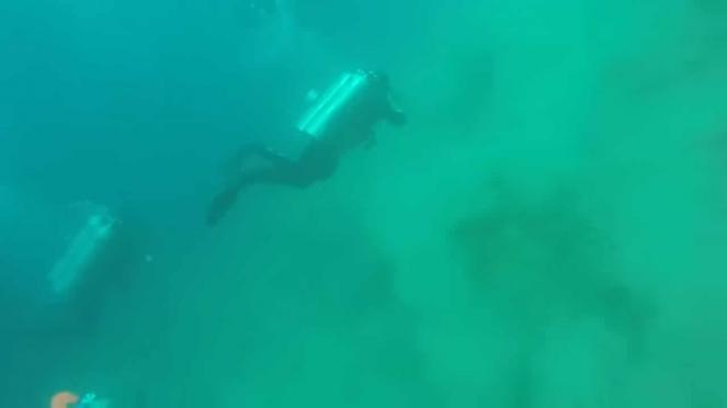 Terremoto sottomarino ripreso in diretta da alcuni subacquei nel mar delle Filippine