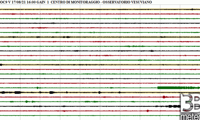 Tracciato sismico della stazione di Ischia, il terremoto si vede a stento