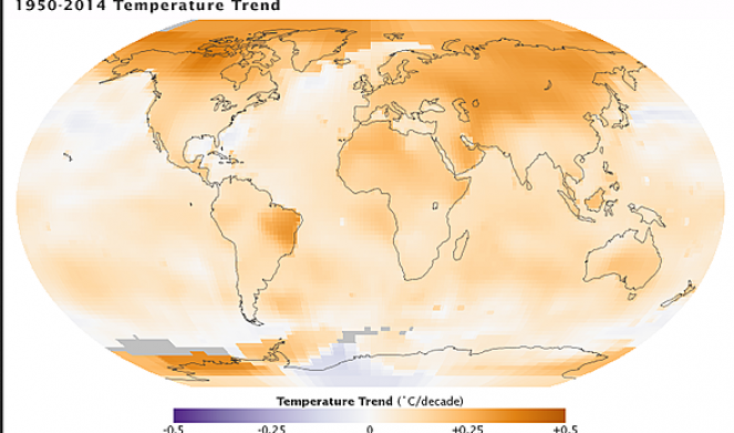 Trend temperature globali dal 1950 (fonte NASA/GISS)