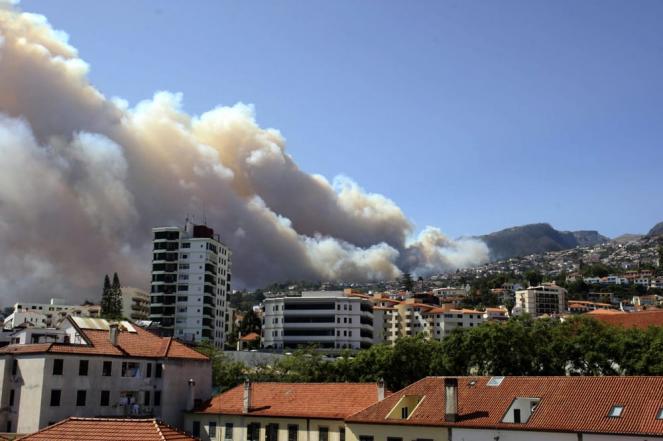 Vasti incendi a Madeira, fonte ANSA
