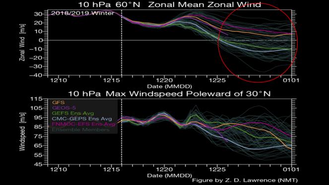 vento zonale a 10 hPa (cortesia di Z.D. Lawrence)