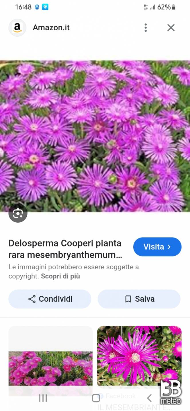 Immagine profilo