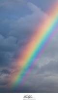 l'arcobaleno e' un modo della natura per farci capire che la vita si deve vivere a colori.