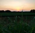 tramonto sull'argine veggianotrambacche