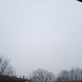 Nebbia