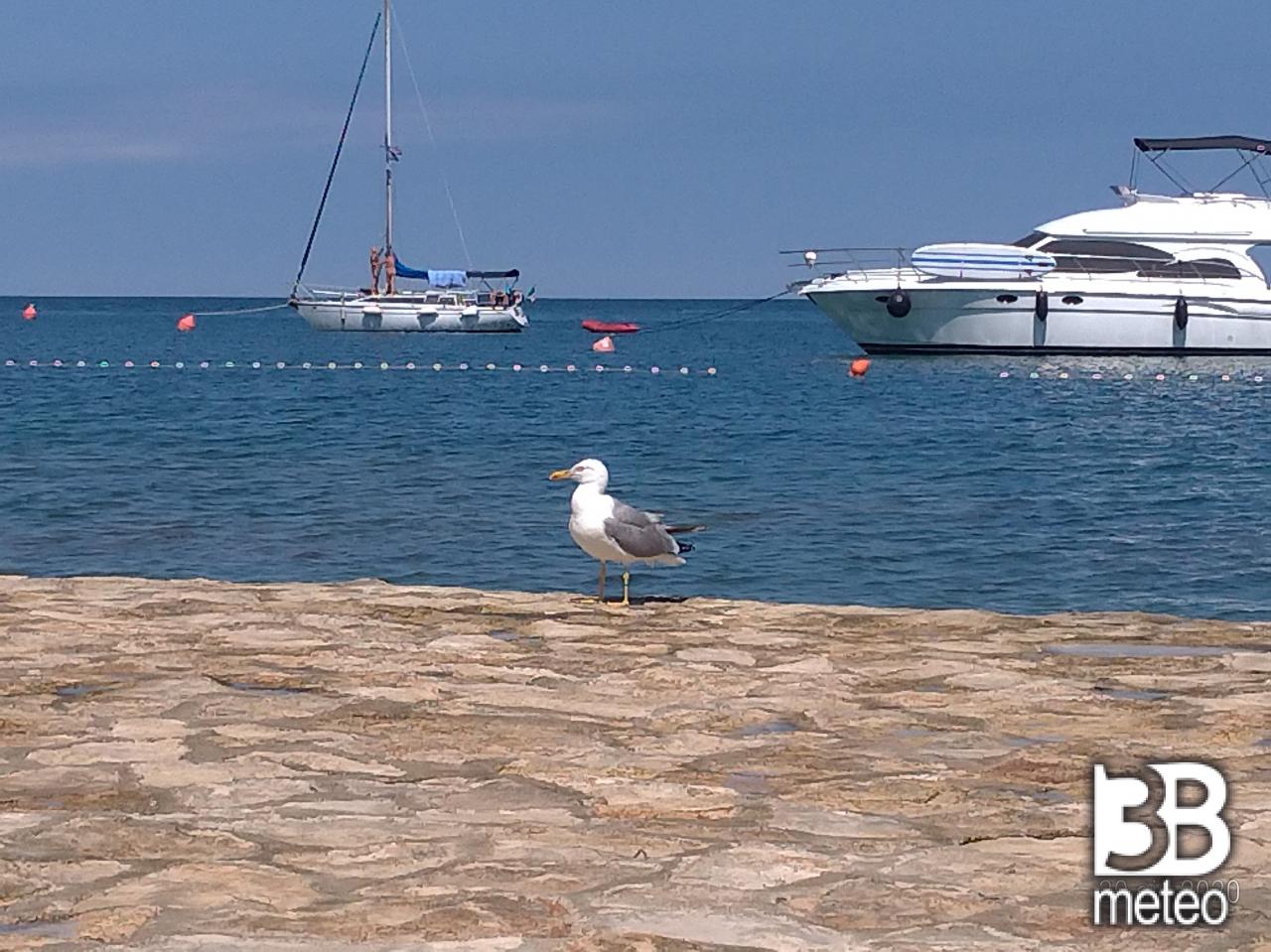 foto-meteo-bagnanti-a-novigrad-croazia-3b-meteo